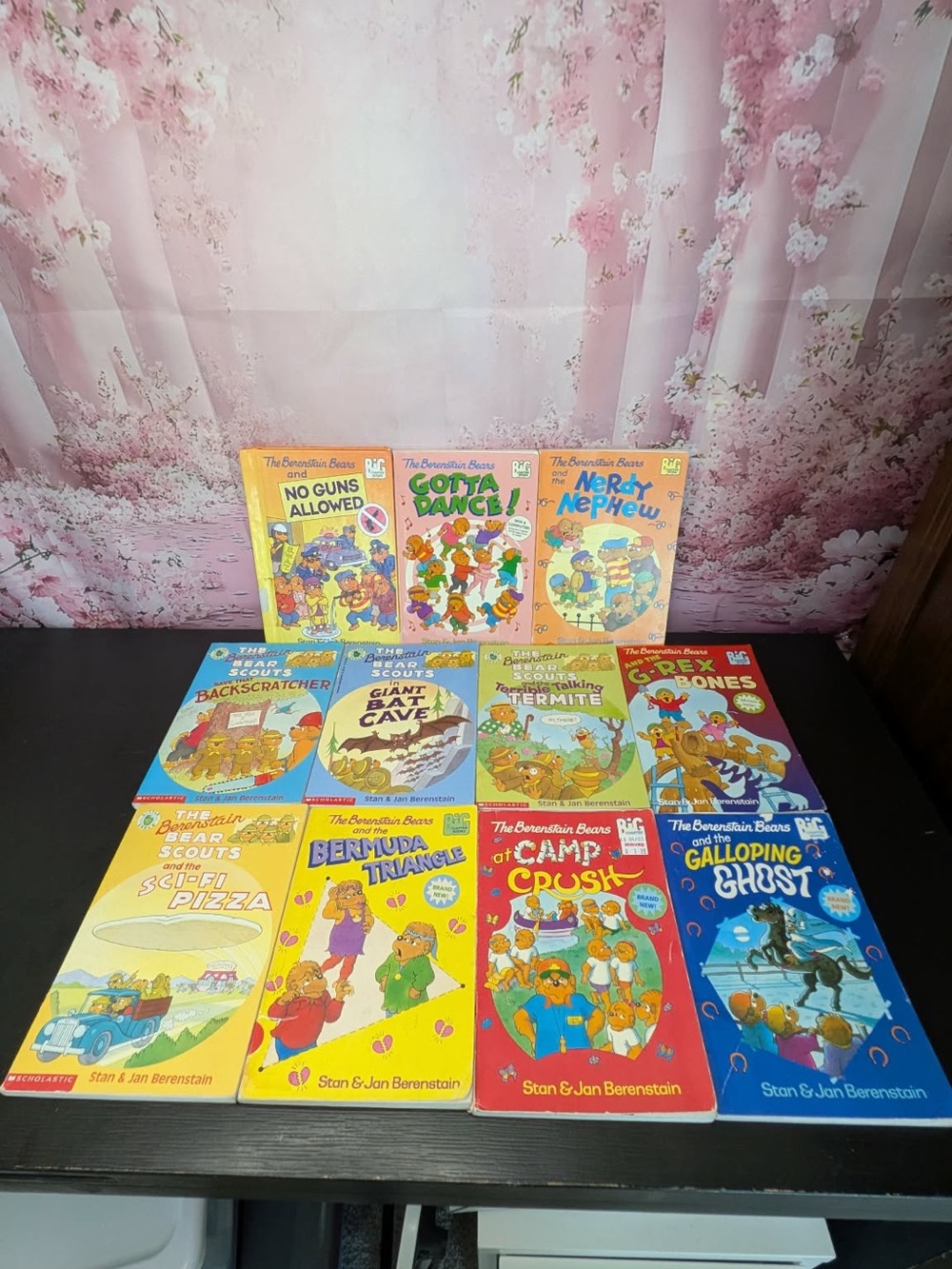 Lot of 11 vintage Berenstain Bears big chapter books. paperback + 1 hardcover PO